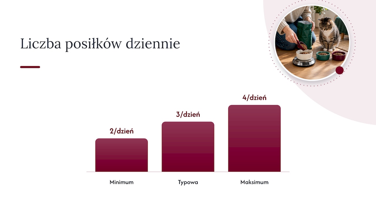 Ile razy dziennie karmić i jak dokładnie mierzyć porcje — overview diagram