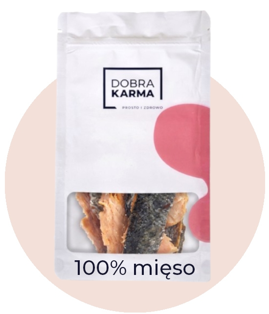 Dobra Karma łosoś 80 g