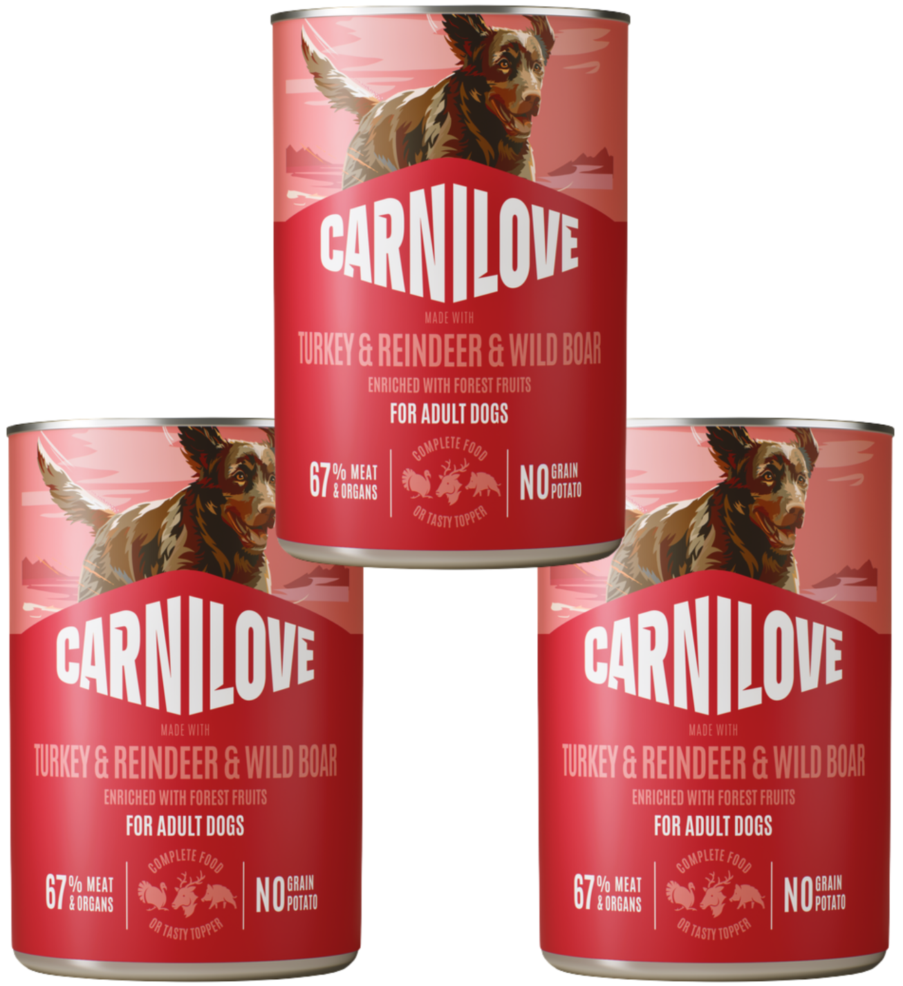 Carnilove dzik, indyk, renifer 400 g × 3