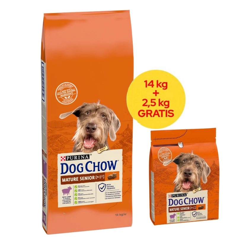 Purina Dog Chow jagnięcina senior 16,5 kg