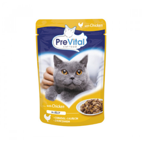 PreVital kurczak w galaretce adult 100 g