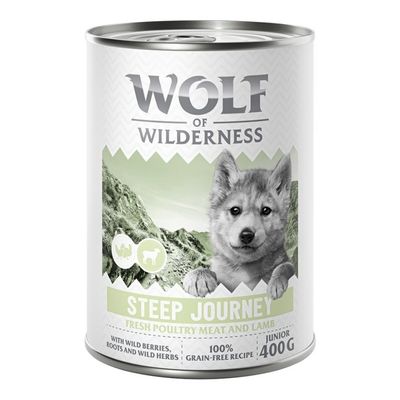 Wolf of Wilderness Expedition drób, jagnięcina junior 400 g × 6