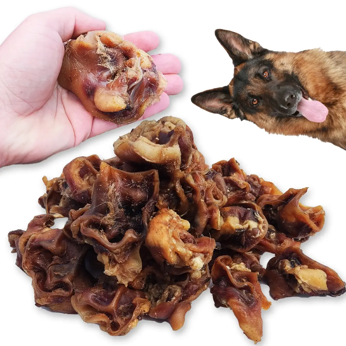 ZooPoint Snacks wieprzowina 100 g