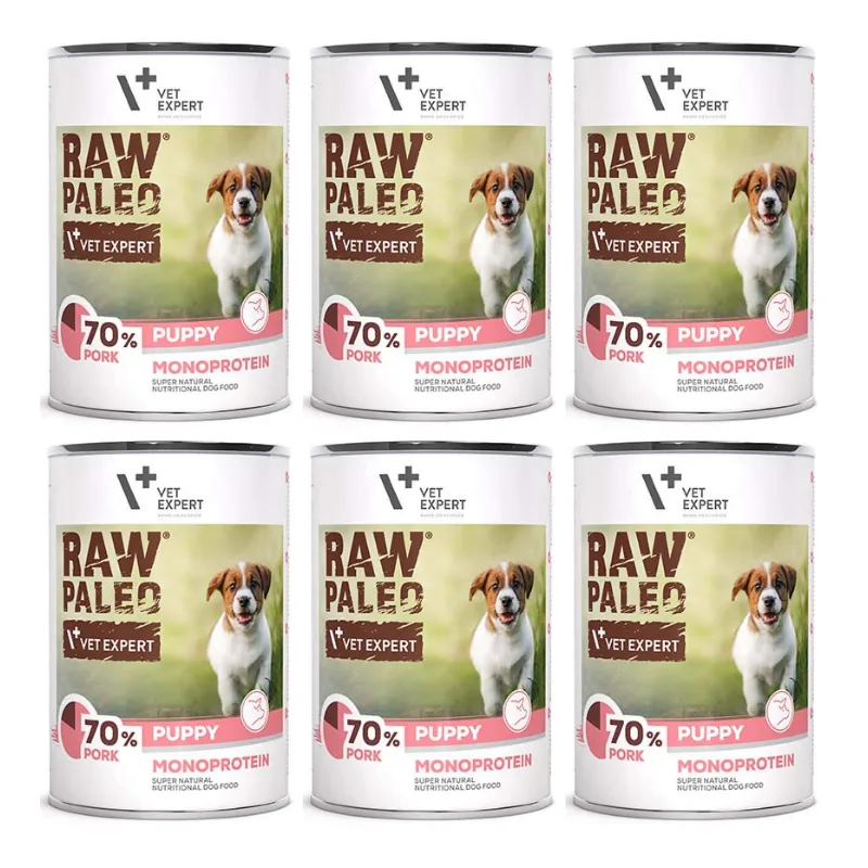VetExpert RAW PALEO wieprzowina junior 400 g × 6