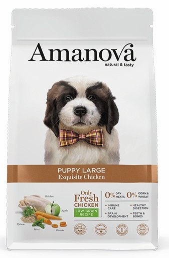 Amanova Exquisite kurczak puppy duże rasy 12 kg