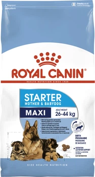 Royal Canin Maxi Starter Mother & Babydog kurczak duże rasy 15 kg