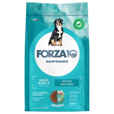 Forza10 Maintenance ryba adult duże rasy 12 kg × 2