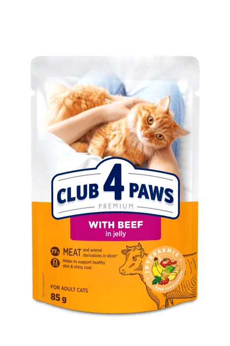 Club 4 Paws Premium wołowina w galaretce adult 85 g