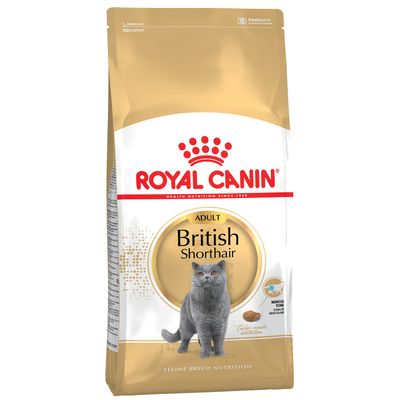 Royal Canin British Shorthair Dental Mobility drób adult 10 kg