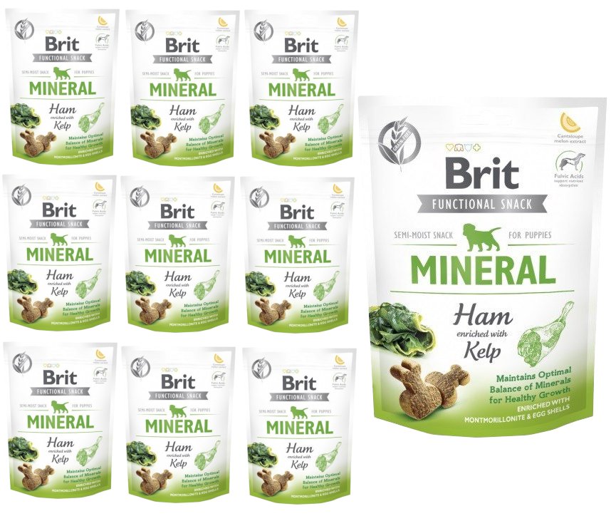 Brit Care szynka puppy 150 g × 10