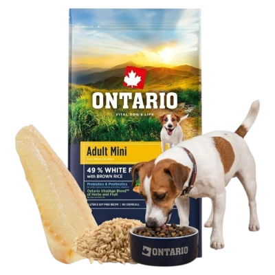 Ontario biała ryba adult małe rasy 6,5 kg