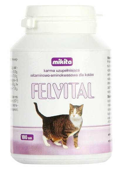 Mikita Felvital