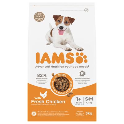 IAMS Advanced Nutrition kurczak adult małe rasy, średnie rasy 3 kg